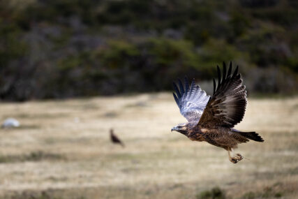Fotoreise Patagonien Galerie