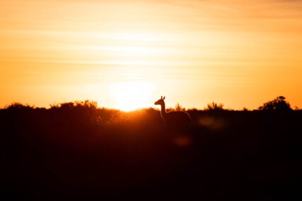 Fotoreise Patagonien Galerie