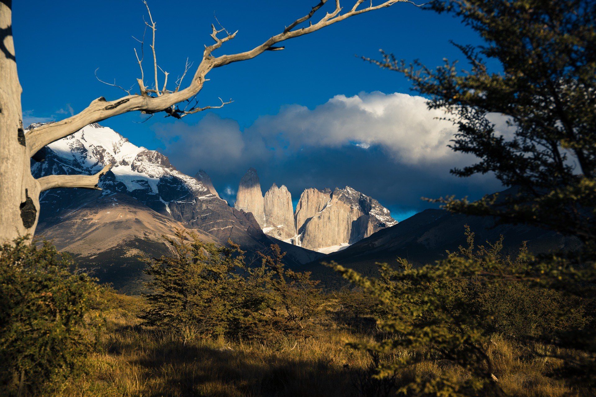 Fotoreise Patagonien, Torres del Paine Nationalpark