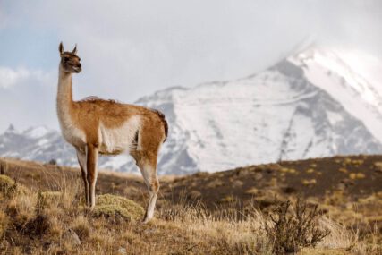 Fotoreise Patagonien Galerie