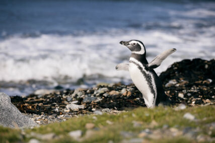 Fotoreise Patagonien Galerie