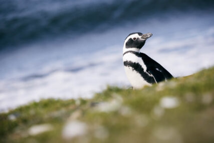 Fotoreise Patagonien Galerie