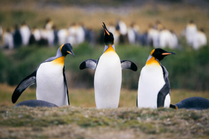 Fotoreise Patagonien Galerie