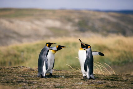 Fotoreise Patagonien Galerie