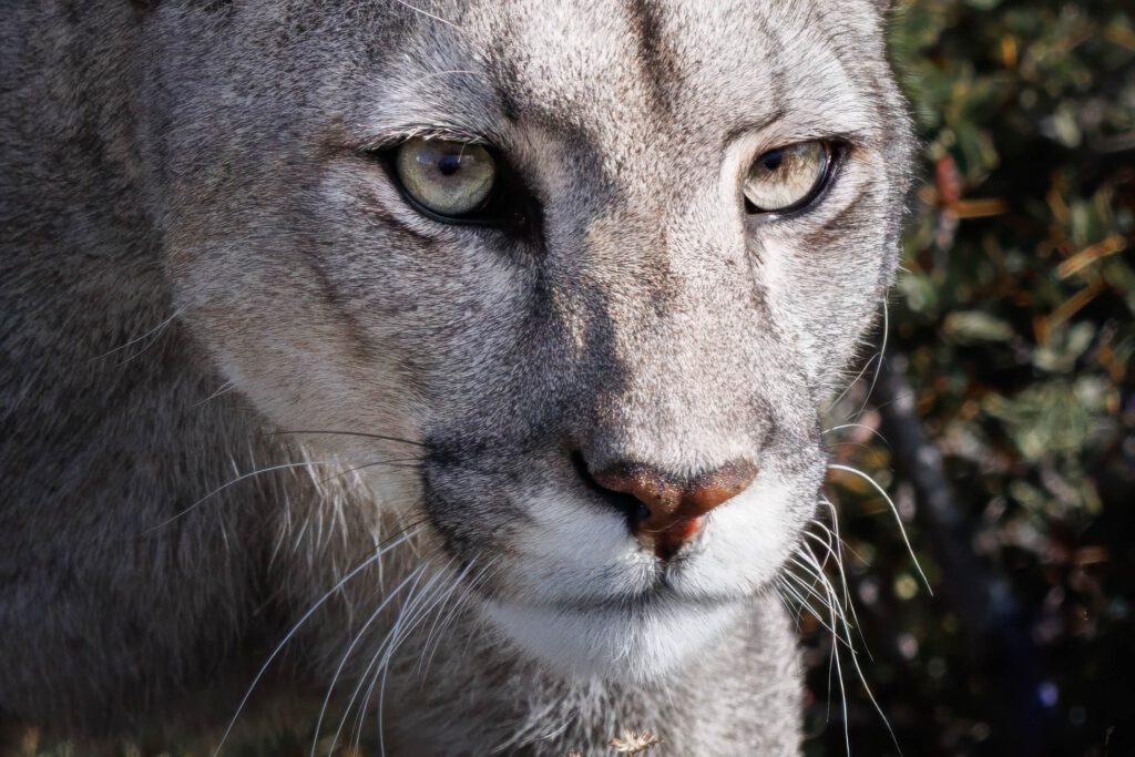 Fotoreise Patagonien Galerie