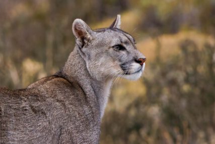 Fotoreise Patagonien Galerie