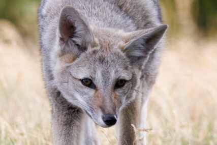 Fotoreise Patagonien Galerie