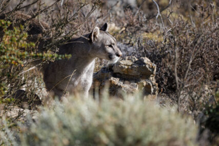 Fotoreise Patagonien Galerie